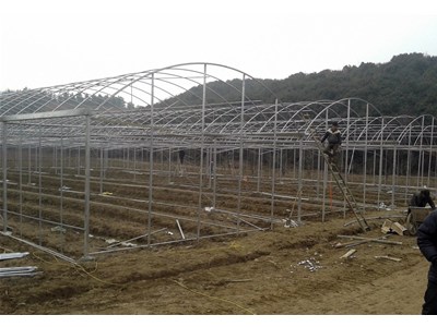 温室大棚建设中如何埋设立柱