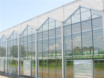蔬菜温室大棚建设后期有哪些维护工作