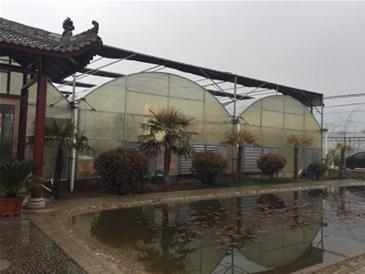 蔬菜大棚建设如何覆膜