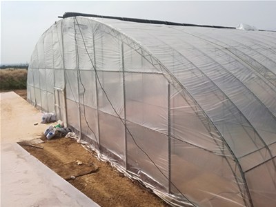 温室大棚建设中降温的几项措施
