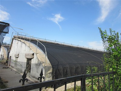 蔬菜大棚建设时要掌握好坡度
