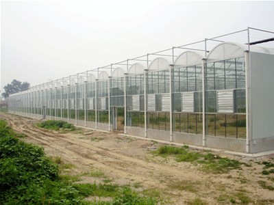 节能保温砖在大棚建设中有什么作用
