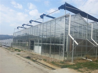 新建蔬菜大棚应该提前准备熟化土壤