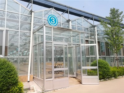 蔬菜温室大棚架式及建造