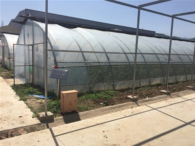大棚蔬菜连作综合治理技术