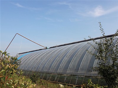 日光温室大棚建设技术