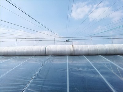 日光温室大棚空气湿度调节