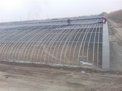 对于单坡面温室大棚建设的八点建议