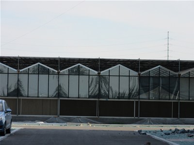 蔬菜大棚建设时需要注意什么