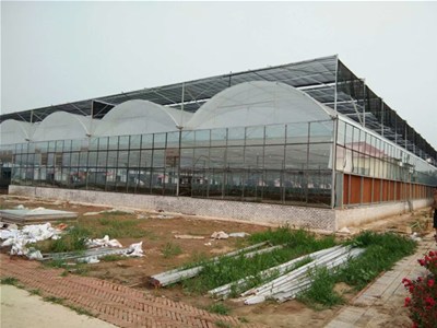 建设节能连栋式温室的五点建议