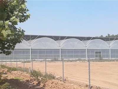温室大棚建造的注意事项
