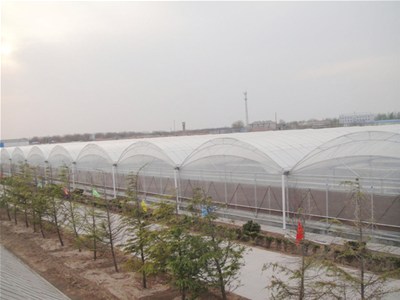 智能温室大棚种植存在哪些误区 
