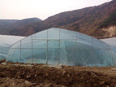 蔬菜大棚建设的流程