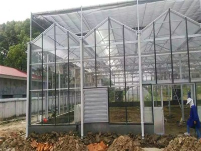 温室大棚出现逆温如何预防