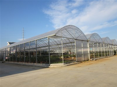 温室大棚更换棚膜时要注意什么 