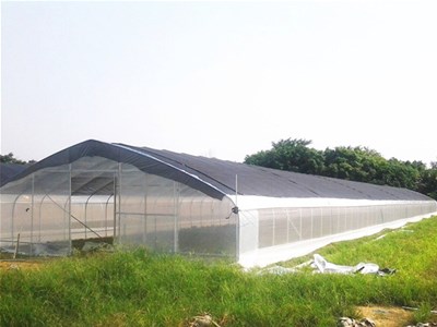 覆盖地膜要看季节