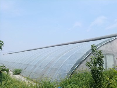 日光温室改型后坡有哪些特点