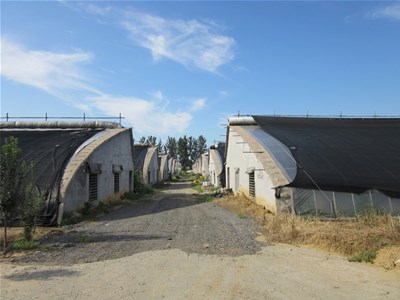 日光温室蔬菜大棚土壤调控