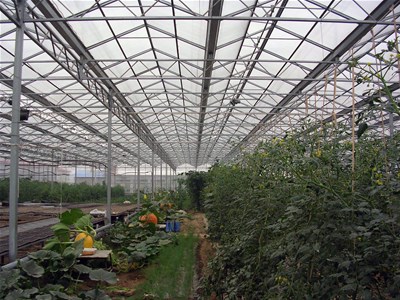 温室大棚建设技术知识