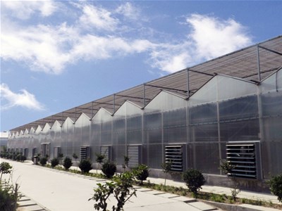 温室内使用自动地下暗渗灌水追肥需要注意什么