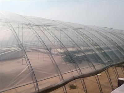 棚室使用二膜覆盖时要注意