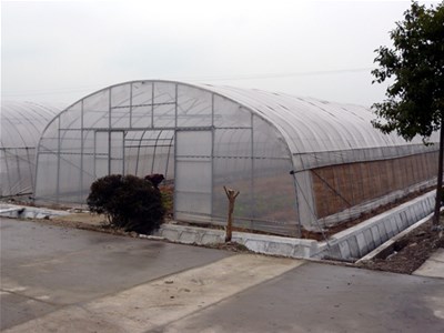 连栋拱棚排水沟如何建设